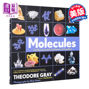 英文原版 分子奥秘 Molecules 中商原版 Gray 视觉之旅 化学Theodore 化学世界