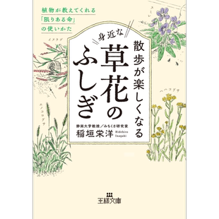 预售 杂草散步 享受身边花草的不思议 稻垣荣洋 日文原版 散歩が楽しくなる身近な草花のふしぎ【中商原版】