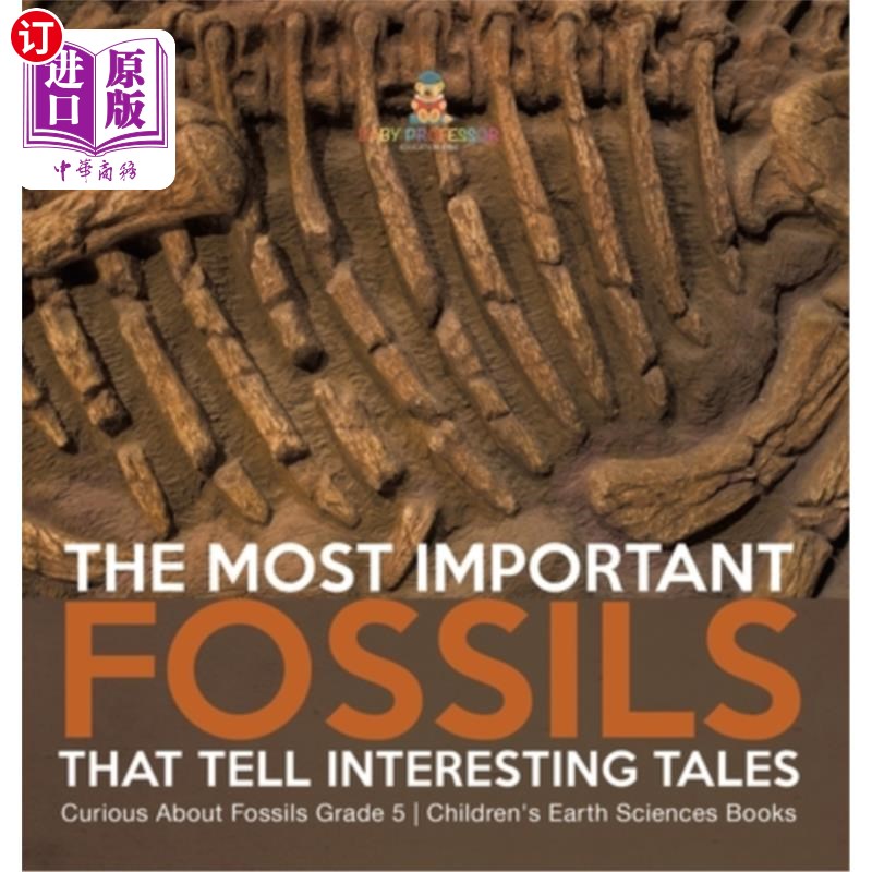 海外直订The Most Important Fossils That Tell Interesting Tales Curious About Fossils Gra 讲述有趣故事的最重要的化石
