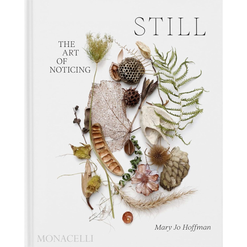 STILL: The Art of Noticing 进口艺术 静态照片 注意的艺术 Mary Jo Hoffman 静物自然摄影集 Phaidon【中商原版】