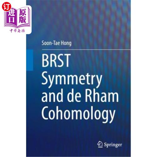 海外直订Brst Symmetry and de Rham Cohomology 布尔斯特对称和德拉姆上同