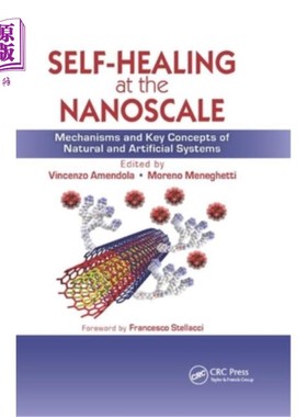 海外直订Self-Healing at the Nanoscale: Mechanisms and Key Concepts of Natural and Artifi 纳米尺度的自我修复:自然和
