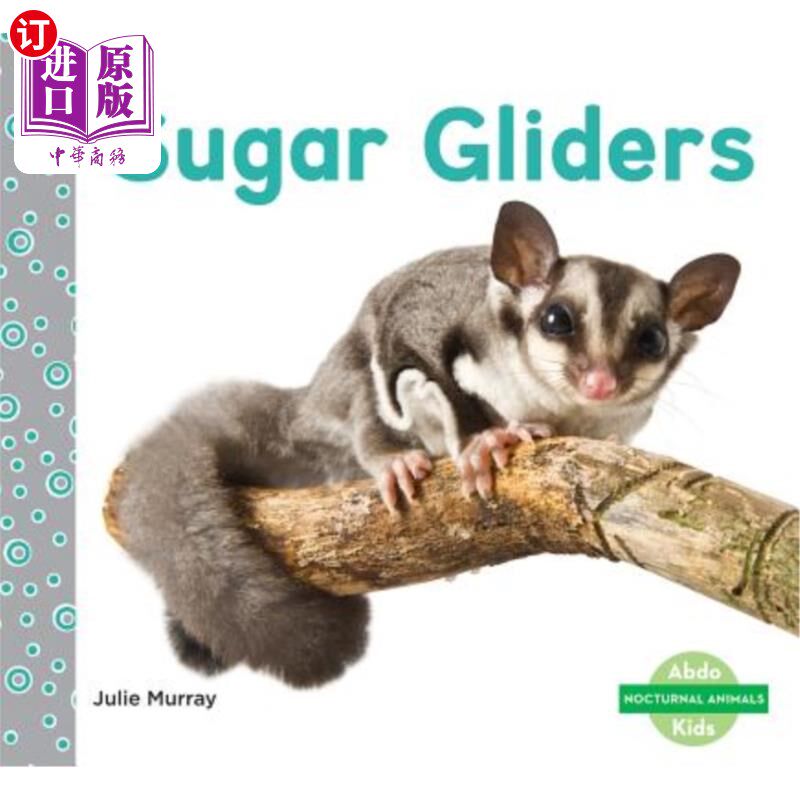 海外直订Sugar Gliders 蜜袋鼯鼠