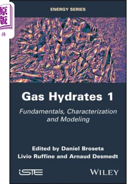 现货 天然气水合物 从表征与建模到应用 Gas Hydrates 1 英文原版 Daniel Broseta 中商原版