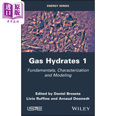 现货 天然气水合物 从表征与建模到应用 Gas Hydrates 1 英文原版 Daniel Broseta 中商原版