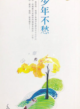 少年港台原版书籍作品青春励志