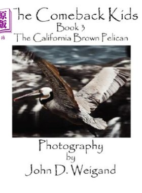 海外直订The Comeback Kids, Book 3, the California Brown Pelican 《归来的孩子》第三册，《加州褐鹈鹕