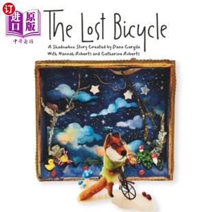 丢失 Bicycle 自行车 Lost 海外直订The