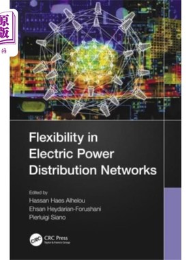 海外直订Flexibility in Electric Power Distribution Netwo... 电力配电网的灵活性