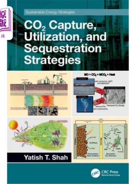 海外直订CO2 Capture, Utilization, and Sequestration Strategies 二氧化碳的捕获、利用和封存策略