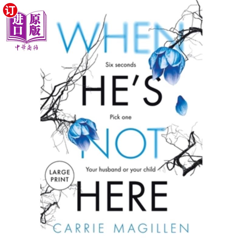 海外直订When HE'S Not HERE: (Large Print Paperback Edition) 当他不在的时候:(大号平装印刷版)