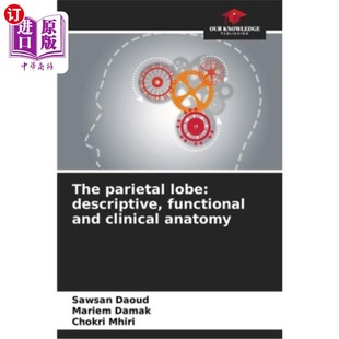 功能和临床解剖 clinical parietal lobe descriptive 海外直订医药图书The anatomy and functional 顶叶：描述