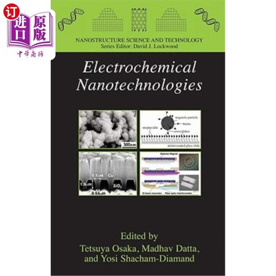 海外直订Electrochemical Nanotechnologies 电化学纳米技术