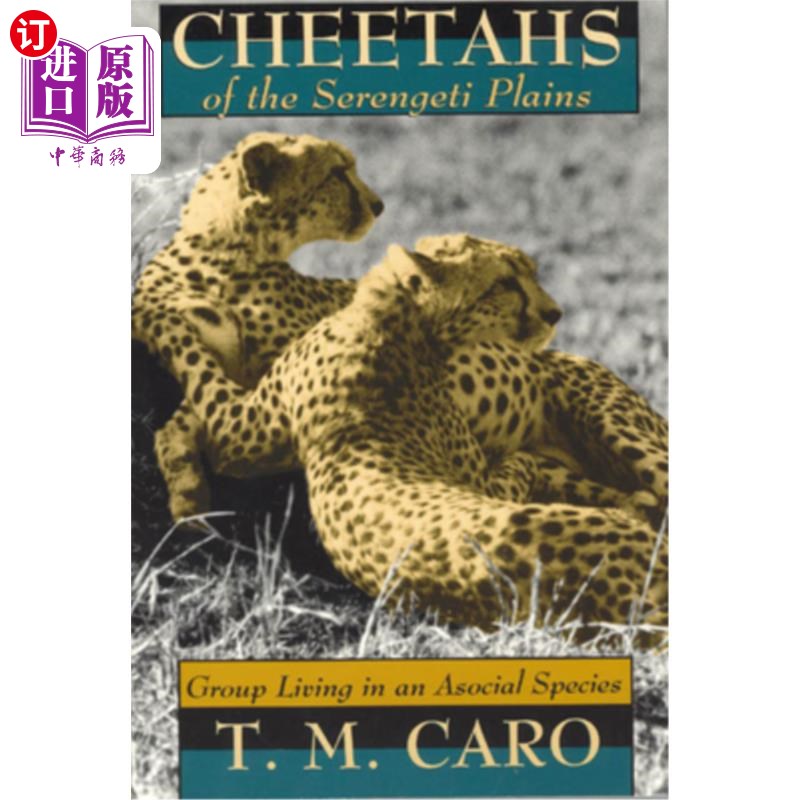 海外直订Cheetahs of the Serengeti Plains: Group Living in an Asocial Species 塞伦盖蒂平原的猎豹:生活在非社会性物种