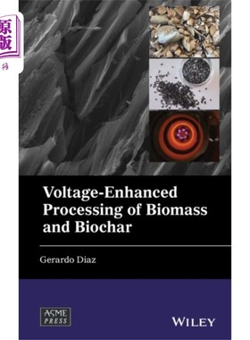 海外直订Voltage-Enhanced Processing of Biomass and Bioch... 生物质和生物炭的电压增强处理