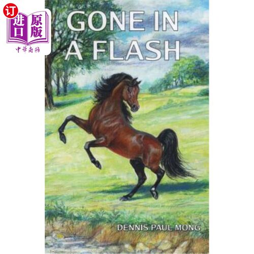 海外直订Gone in a Flash 一晃而过