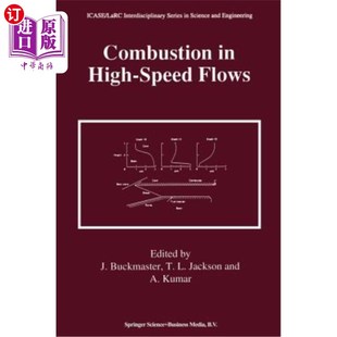 High 海外直订Combustion 燃烧 Flows 高速流动中 Speed