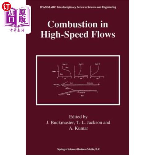 海外直订Combustion in High-Speed Flows 高速流动中的燃烧