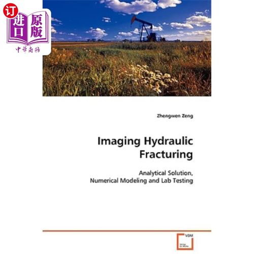 海外直订Imaging Hydraulic Fracturing - Analytical Solution, Numerical Modeling and Lab T 成像水力压裂.分析解，数值