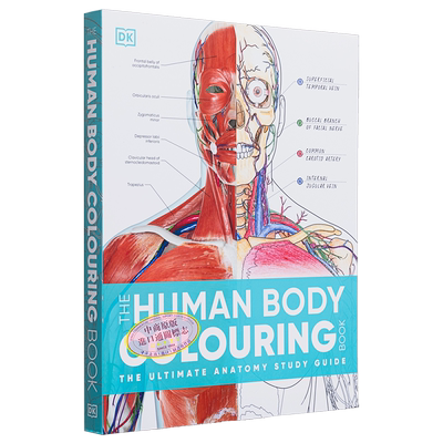 预售 人体涂色书 The Human Body Colouring Book 英文原版 DK 科普与科学通识 医学百科【中商原版】