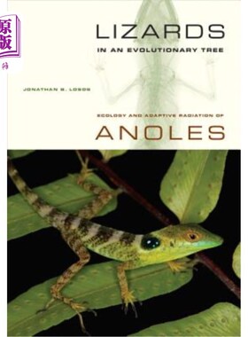 海外直订Lizards in an Evolutionary Tree: Ecology and Adaptive Radiation of Anoles Volume 进化树中的蜥蜴:变形虫的生