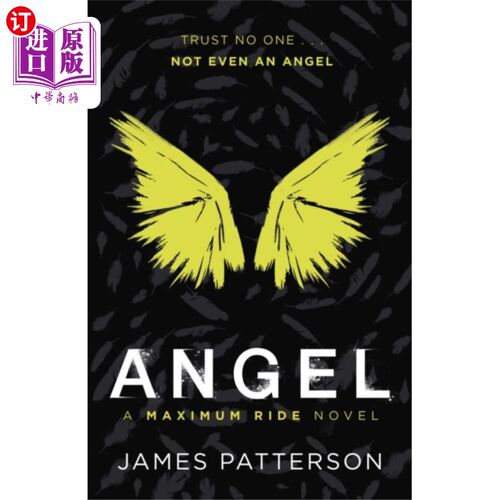海外直订Angel: A Maximum Ride Novel 安吉尔:一部极品飞车小说