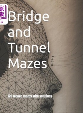 海外直订Bridge and Tunnel Mazes 桥梁和隧道迷宫