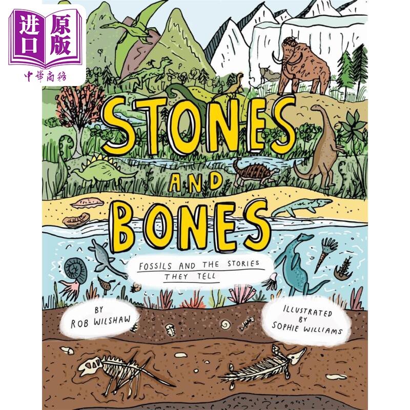 藏在化石中的历史 Stones and Bones Fossils and the stories they tell英文原版 儿童科普绘本精装自然科学读物【中商原版?