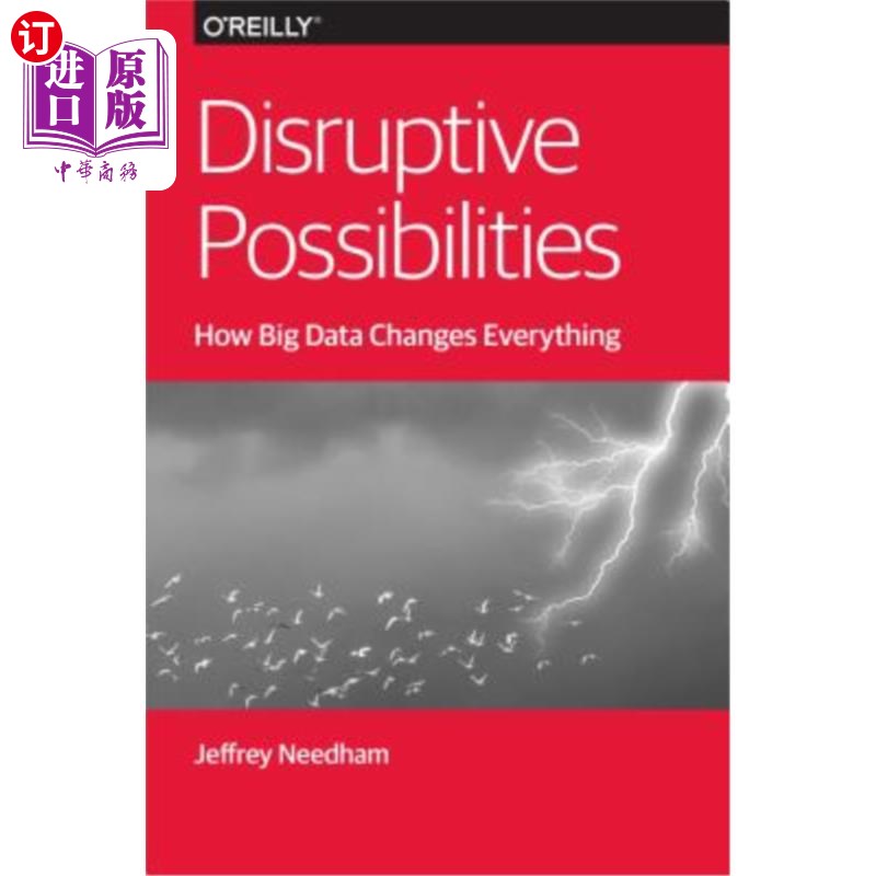 海外直订Disruptive Possibilities: How Big Data Changes Everything 颠覆性的可能性：大数据如何改变一切