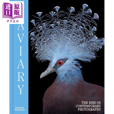 鸟笼：当代摄影中的鸟类