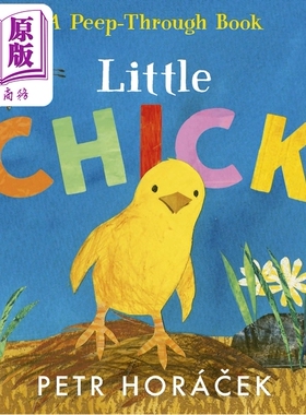 现货 镂空书 小鸡 Petr Horácek Little Chick 英文原版进口 低幼儿童纸板书 亲子绘本 故事图画书 进口童书2-5岁【中商原版】