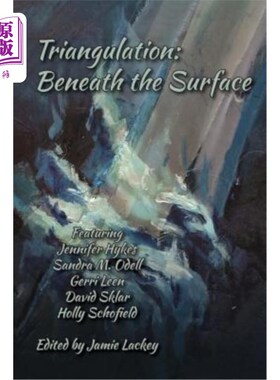 海外直订Triangulation: Beneath the Surface 三角测量:地表之下