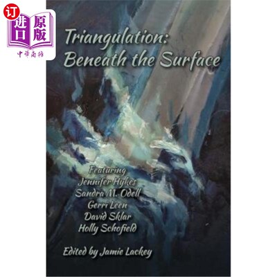 海外直订Triangulation: Beneath the Surface 三角测量:地表之下