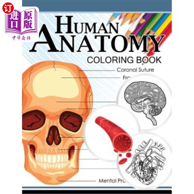 海外直订Human Anatomy Coloring Book: Anatomy & Physiology Coloring Book 3rd Edtion 人体解剖着色书：解剖生理着色书第