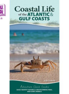 海外直订Coastal Life of the Atlantic and Gulf Coasts: Easily Identify Seashells, Beachco 大西洋和海湾海岸的海岸生活