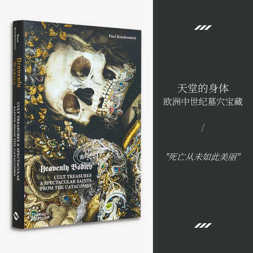 进口艺术墓穴骷髅宝藏
