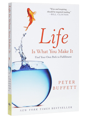 做你自己 股神巴菲特送给儿子的人生礼物 英文原版 life is what you make it Peter Buffett【中商原版】