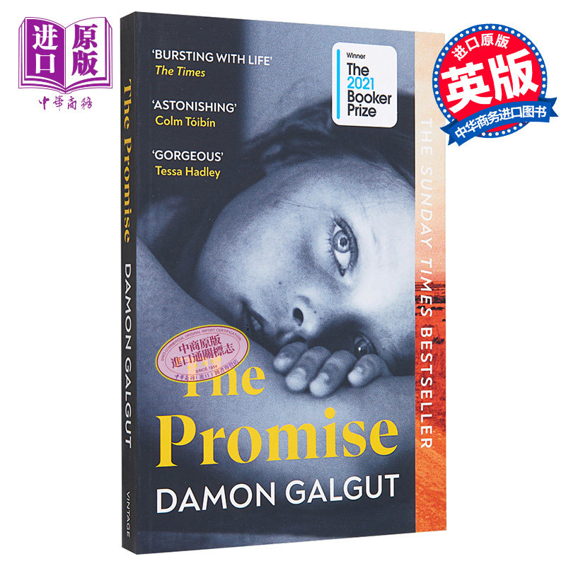 承诺 2021布克奖得奖作品 英文原版 The Promise DAMON GALGUT【中商原版】