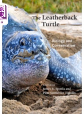 海外直订Leatherback Turtle 棱皮龟