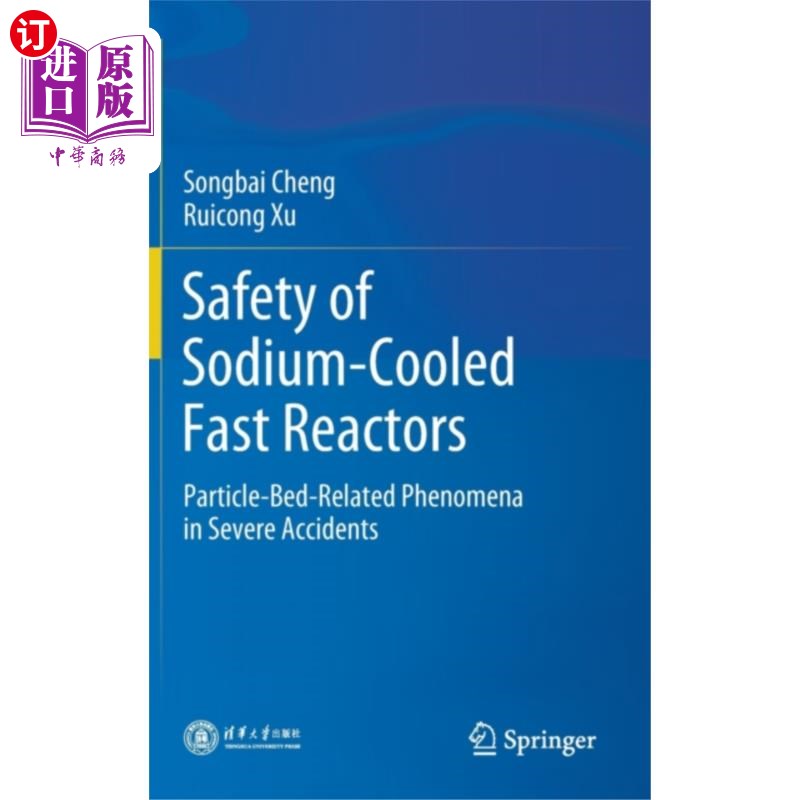 海外直订Safety of Sodium-Cooled Fast Reactors 钠冷快堆的安全