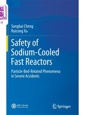 海外直订Safety of Sodium-Cooled Fast Reactors 钠冷快堆的安全