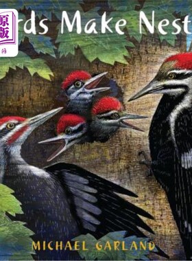 海外直订Birds Make Nests 鸟筑巢