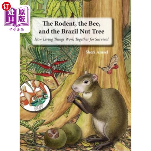 海外直订The Rodent, the Bee, and the Brazil Nut Tree: How Living Things Work Together fo 啮齿动物、蜜蜂和巴西坚果树