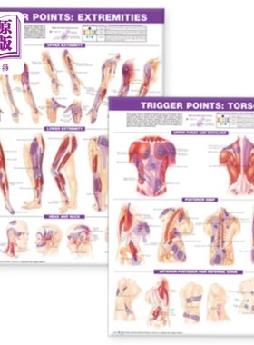 海外直订医药图书Trigger Point Chart Set: Torso & Extremities  Lam 触发点图表集:躯干和四肢Lam