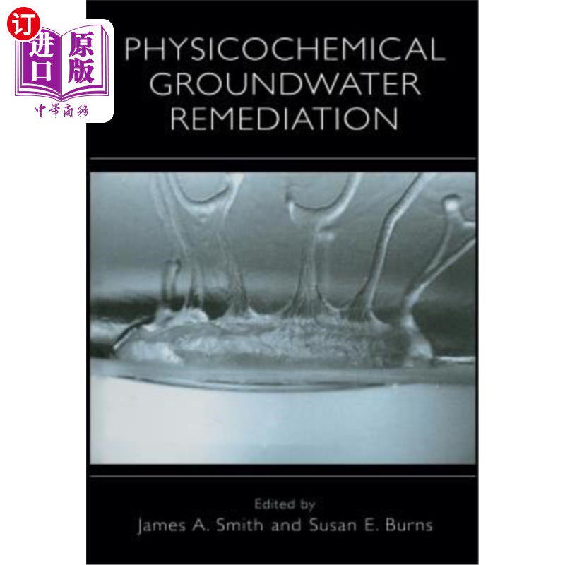 海外直订Physicochemical Groundwater Remediation 物理化学地下水修复