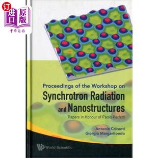 Nanostructures And Radiation 研讨会论文 同步辐射与纳米结构:纪念保罗·佩尔菲蒂 论文 Papers... 海外直订Synchrotron