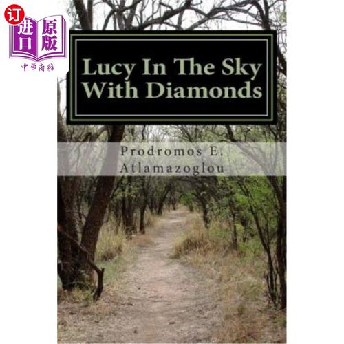 海外直订Lucy In The Sky With Diamonds 缀满钻石天空下的露西