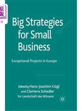 海外直订Big Strategies for Small Business: Exceptional Projects in Europe 小企业的大战略：欧洲的特殊项目