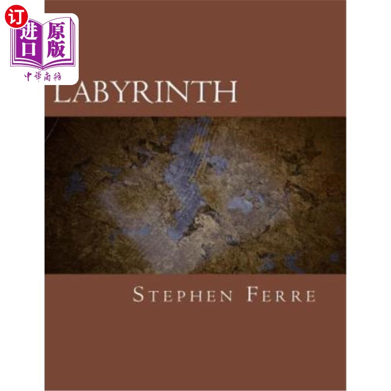 海外直订Labyrinth 迷宫