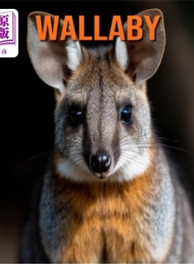 海外直订Wallaby: Fun Facts Book for Kids with Amazing Photos 小袋鼠:有趣的事实书与惊人的照片的孩子
